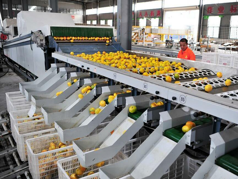 Agricultural Production.jpg